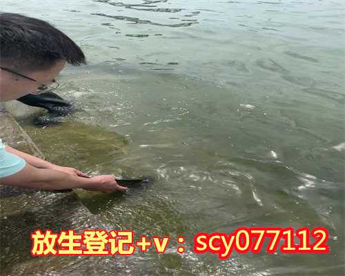 杭州放生鱼的组织，杭州市灵隐寺里的羽毛球故事