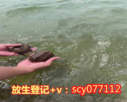 南京放生泥鳅放在哪里比较好呢，