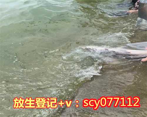 杭州哪个湖可以放生鱼，杭州市民放生40多只小鳄龟民警称不是神龟别乱放生
